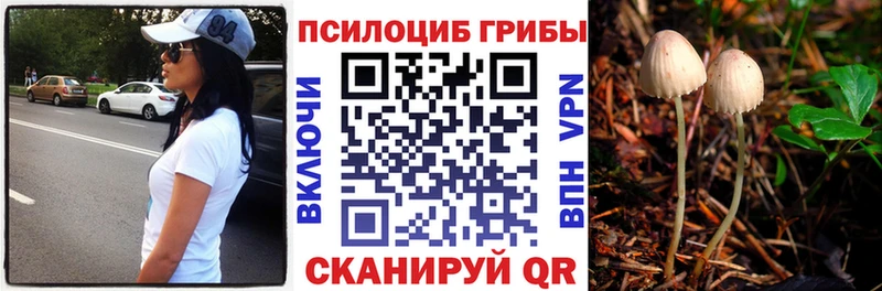 Галлюциногенные грибы прущие грибы  закладка  Подпорожье 